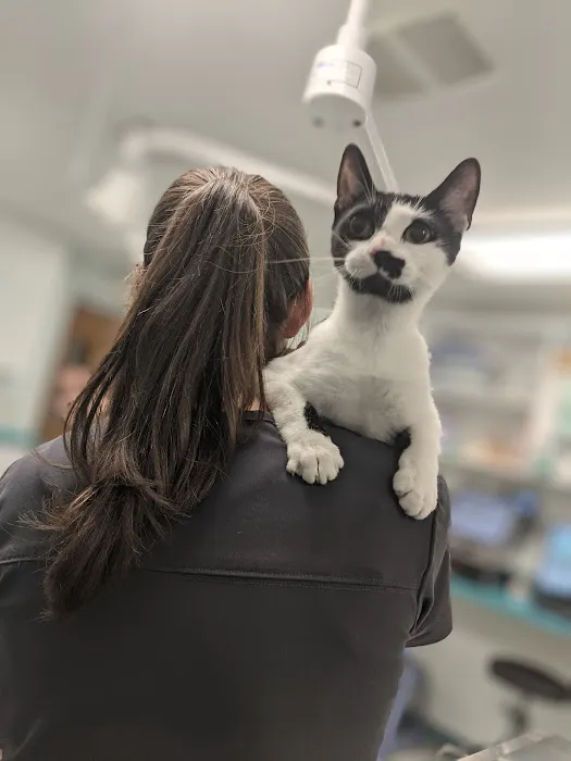Community Animal Hospital Picture 4