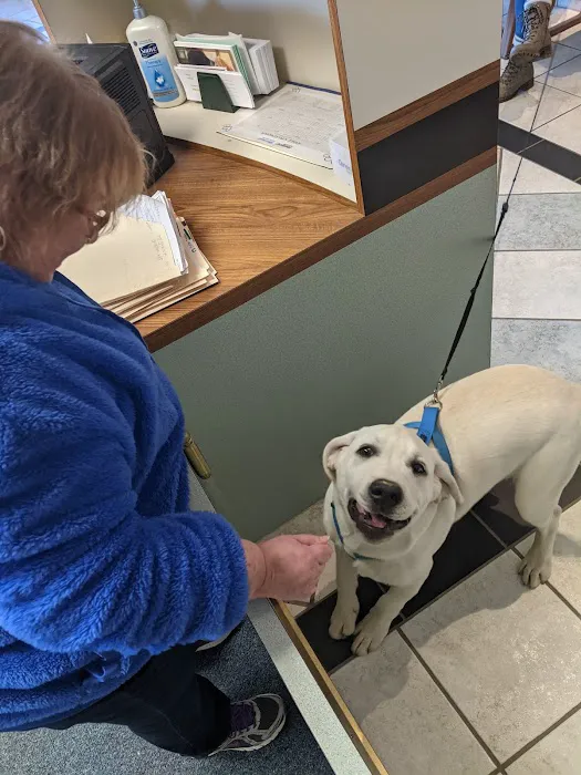 Community Animal Hospital Picture 7
