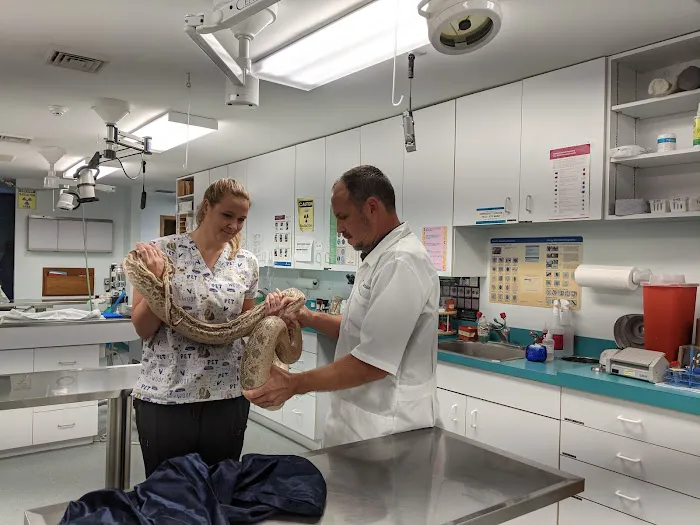Community Animal Hospital Picture 8
