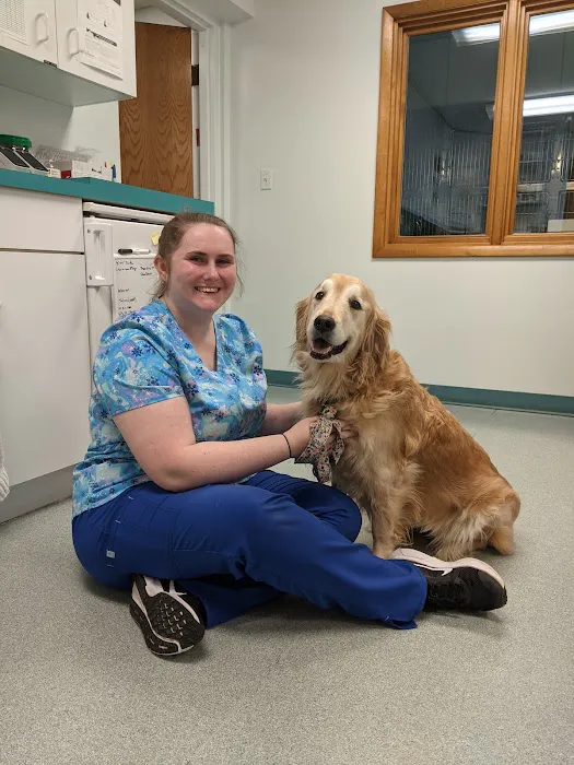 Community Animal Hospital Picture 6