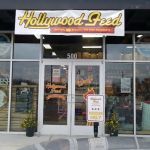 Hollywood Feed