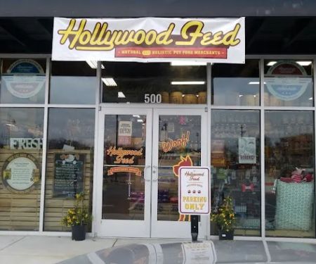 Hollywood Feed