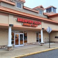 Brenford South Animal Clinic ico