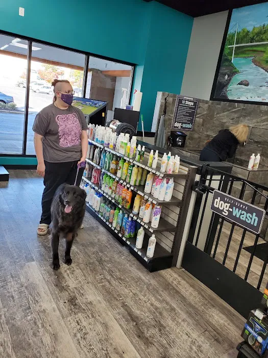 Pet Supermarket Picture 8