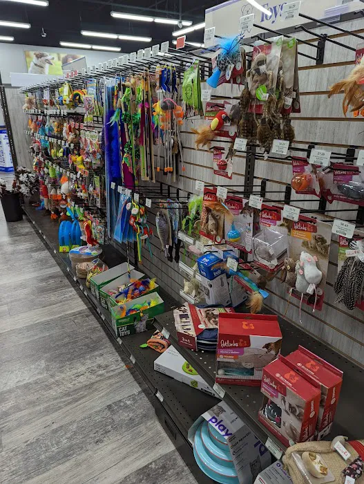 Pet Supermarket Picture 1