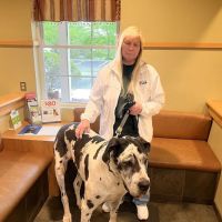 Veterinary Medical Center ico