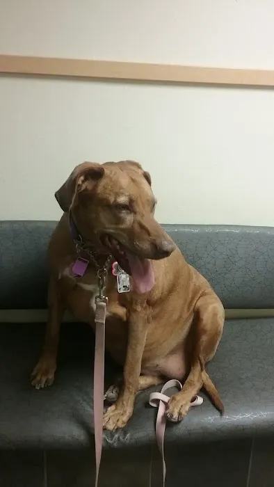 Veterinary Medical Center Picture 10