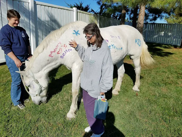 Veterinary Medical Center Picture 6