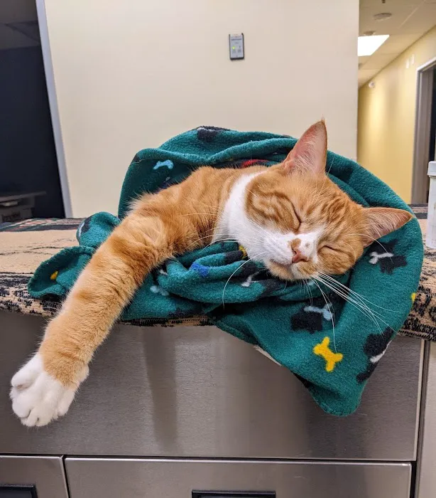 Veterinary Medical Center Picture 2