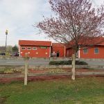 Denton Animal Hospital, P.A.