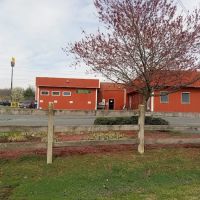 Denton Animal Hospital, P.A. ico