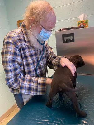 Denton Animal Hospital, P.A. Picture 7