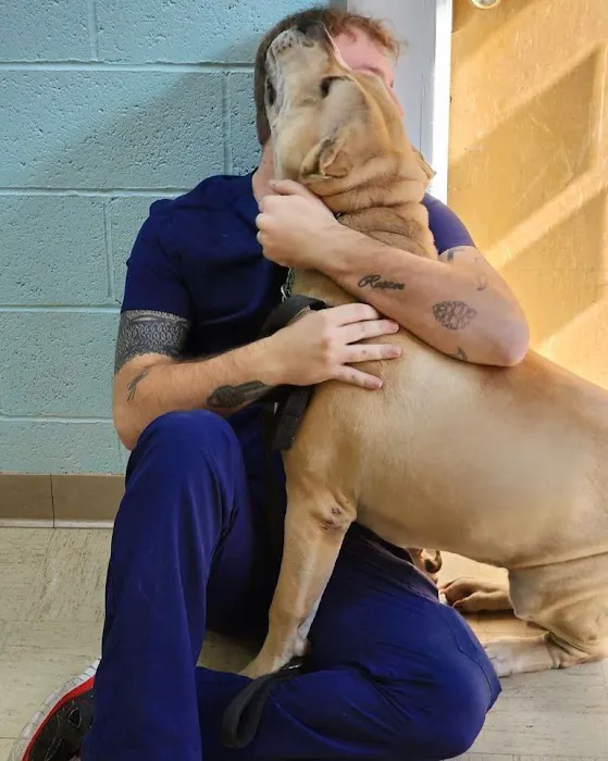 Denton Animal Hospital, P.A. Picture 9
