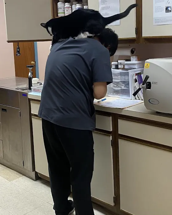 Denton Animal Hospital, P.A. Picture 6