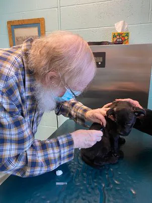 Denton Animal Hospital, P.A. Picture 4