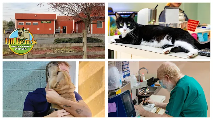 Denton Animal Hospital, P.A. Picture 10