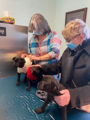 Denton Animal Hospital, P.A. Picture 8