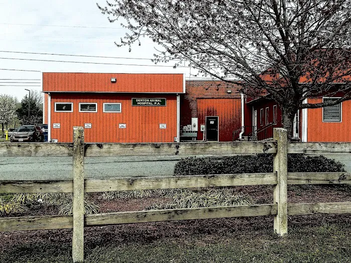 Denton Animal Hospital, P.A. Picture 2