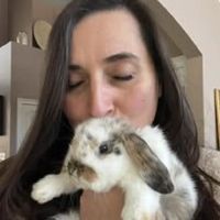 Bunnies Along the River ico
