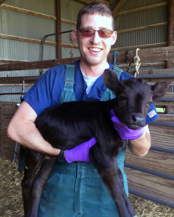 Central Shore Veterinary Services Picture 2