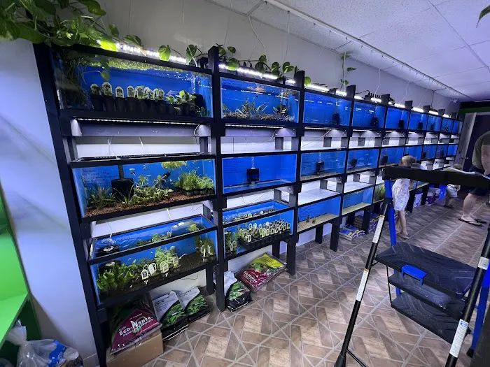 Z Fishroom Picture 3