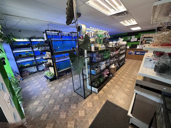 Z Fishroom Picture 4