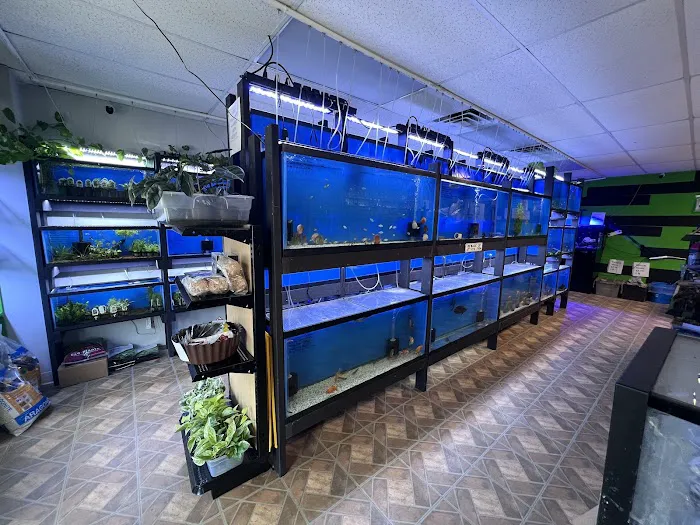 Z Fishroom Picture 10