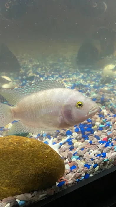 Z Fishroom Picture 1