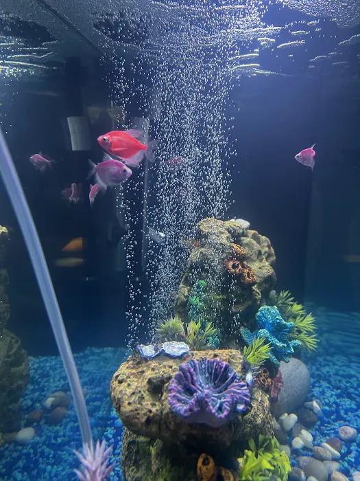 Z Fishroom Picture 8
