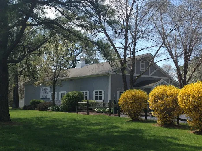 Easton Veterinary Clinic and Rehabilitation Center Picture 2