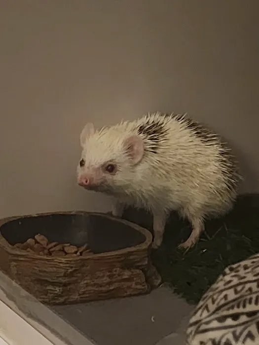 Burnett Exotics Picture 2