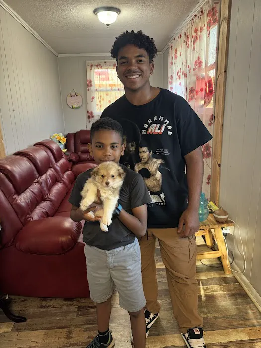 The Puppy Gallery LLC Picture 1
