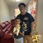 The Puppy Gallery LLC