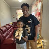 The Puppy Gallery LLC ico