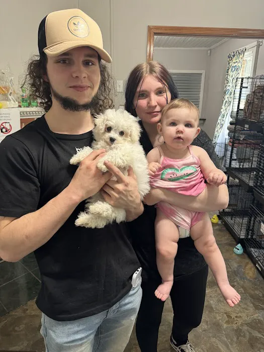 The Puppy Gallery LLC Picture 4
