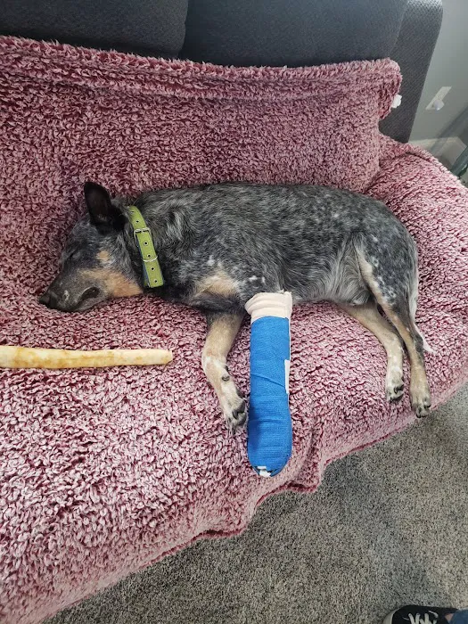 Pet Health Clinic Picture 10