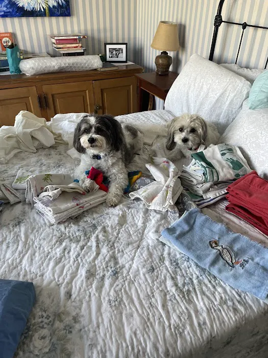 Midshore Veterinary Service Picture 10