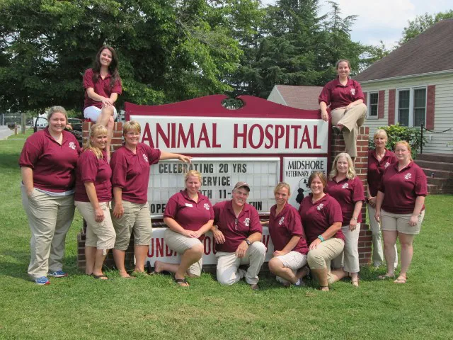 Midshore Veterinary Service Picture 8