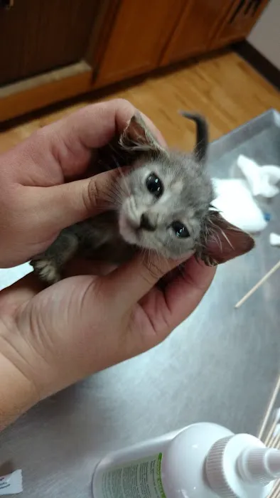 Midshore Veterinary Service Picture 4