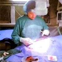 Convenient Care Mobile Veterinary ico