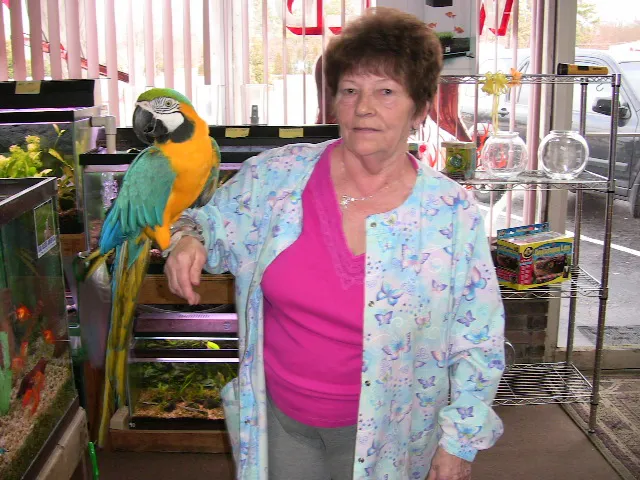 Boiling Springs Pet World Picture 10