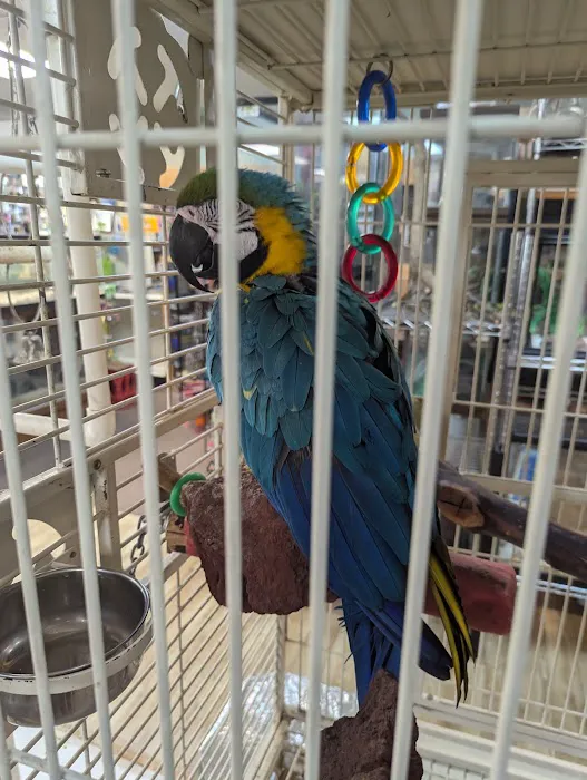 Boiling Springs Pet World Picture 2
