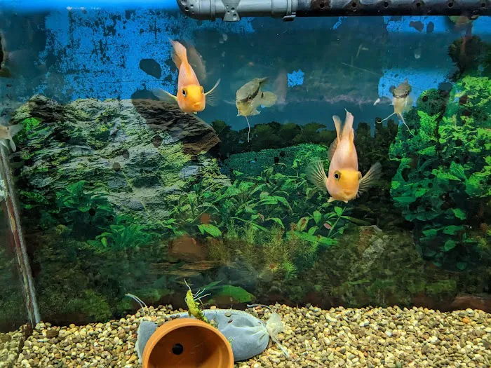 Boiling Springs Pet World Picture 4