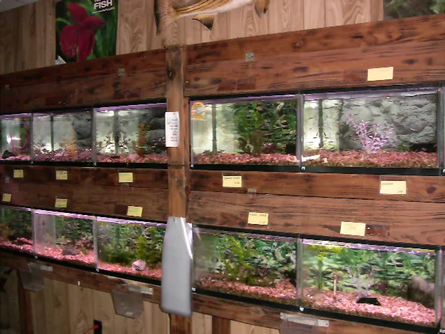 Boiling Springs Pet World Picture 8