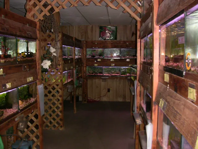 Boiling Springs Pet World Picture 7