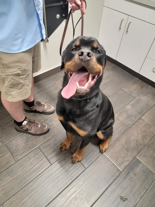 Hershire Animal Hospital Picture 1