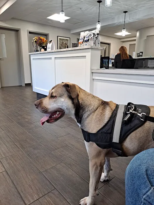 Hershire Animal Hospital Picture 2