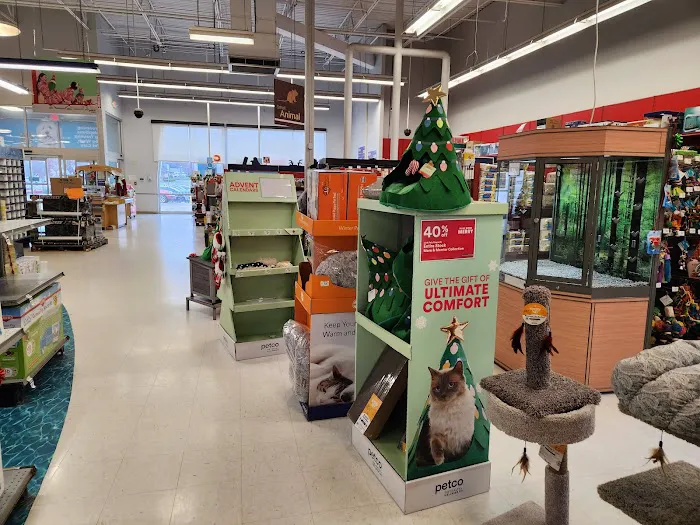 Petco Picture 4
