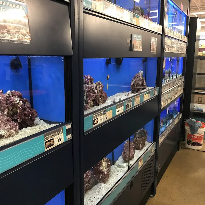 Petco Picture 9
