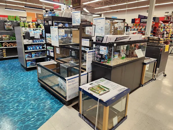 Petco Picture 6